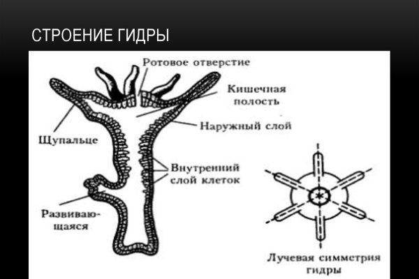 Какой сайт вместо омг